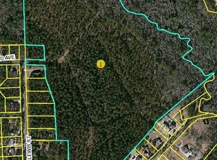 Lewis St, Raeford, NC 28376