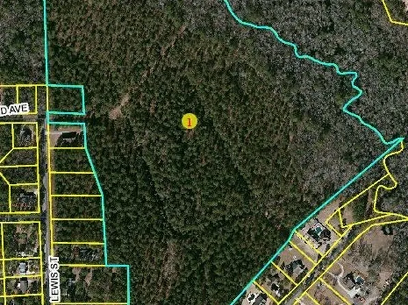 Lewis St, Raeford, NC 28376