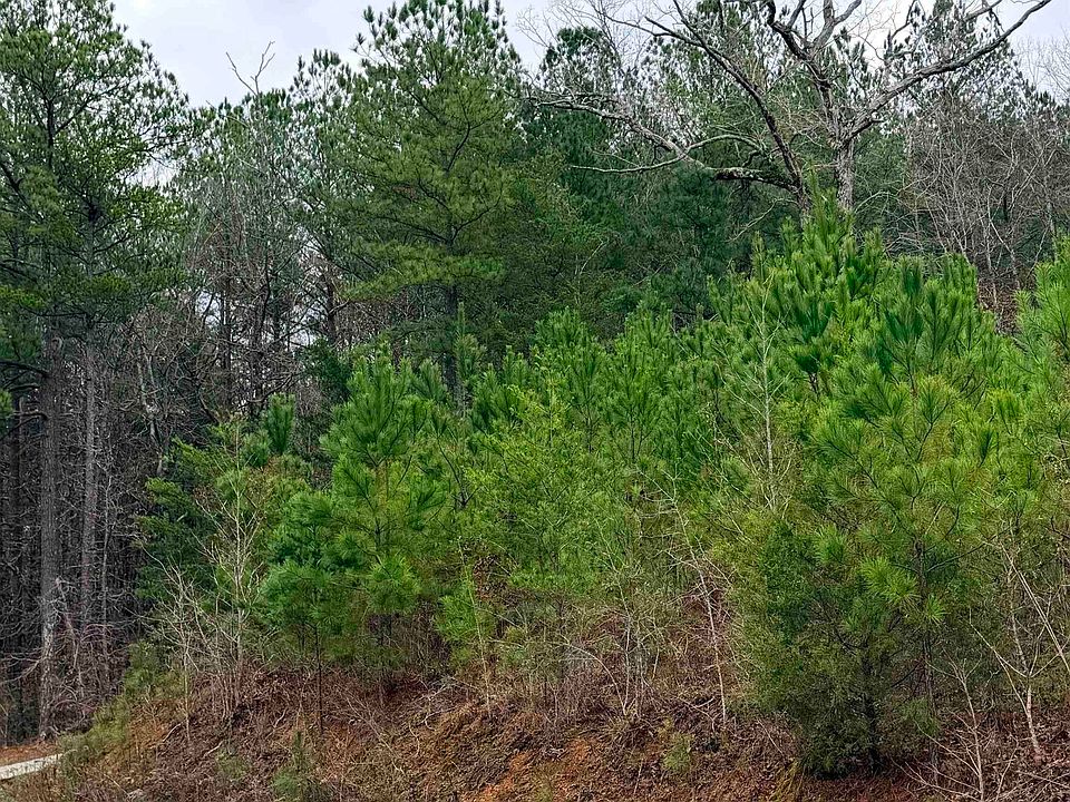 2nd image of Armstrong Rd #0