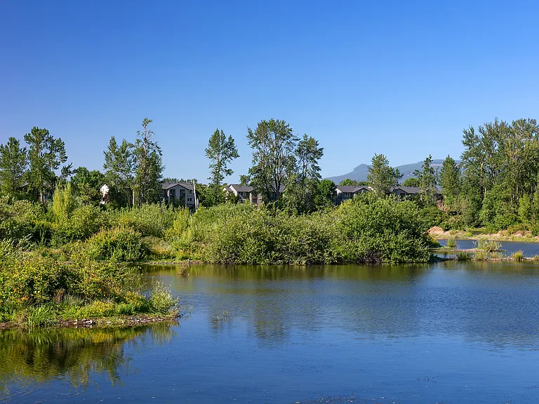 River Terrace — Photo 29