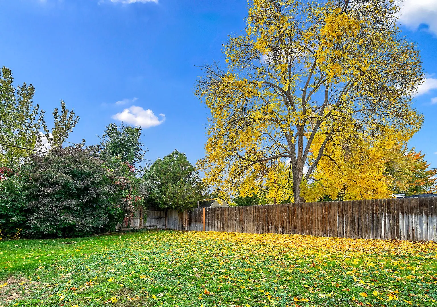 2bd/1b Boise Bench Home! — Photo 3