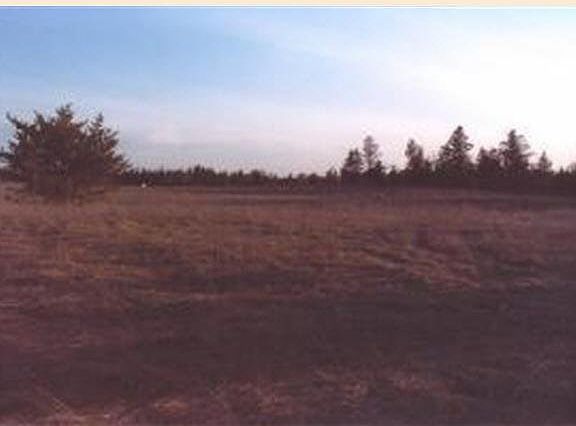 4th image of School Forest Drive