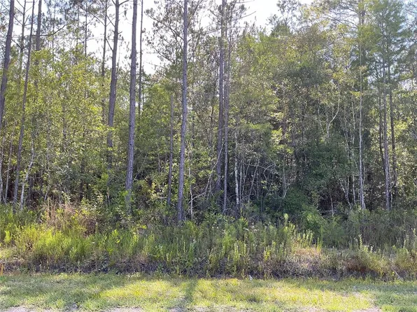 0 Crotty Ave Unit 1, Hastings, FL 32145