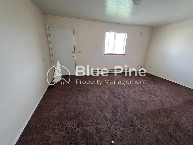 2137 Meppen Dr — Photo 3