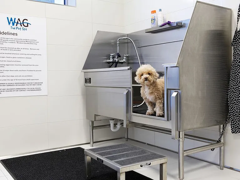 WAG Pet Spa.
