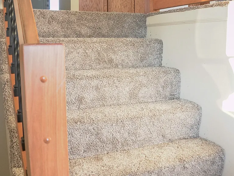 All new carpet