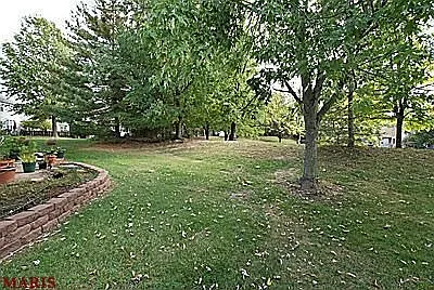 954 Palm Bay Dr photo 1