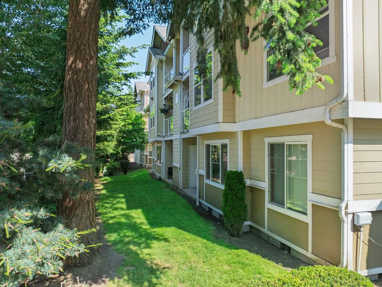 Brandon Place Apartments — Photo 4
