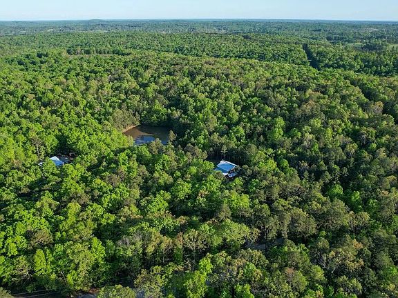 51st image of this home