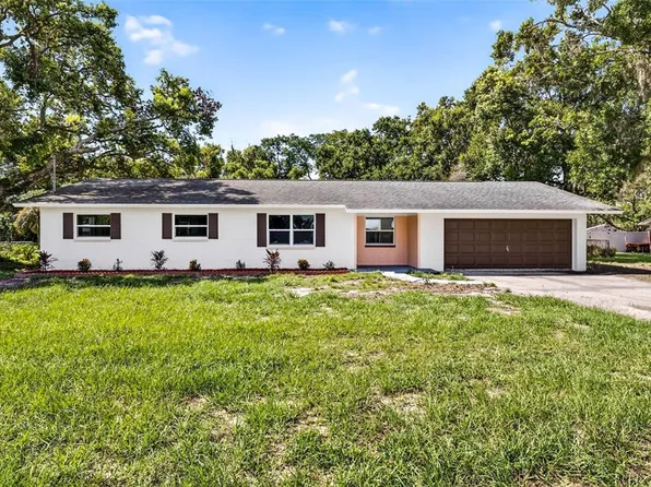 12415 Palm Tree Dr, Thonotosassa, FL 33592