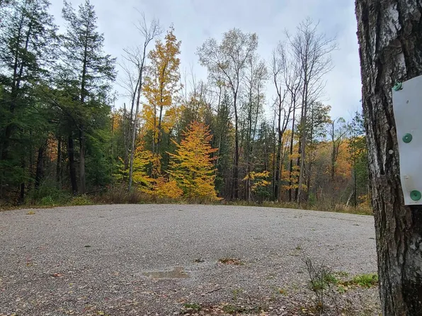 7981 Aldrich Rd, South Branch, MI 48761