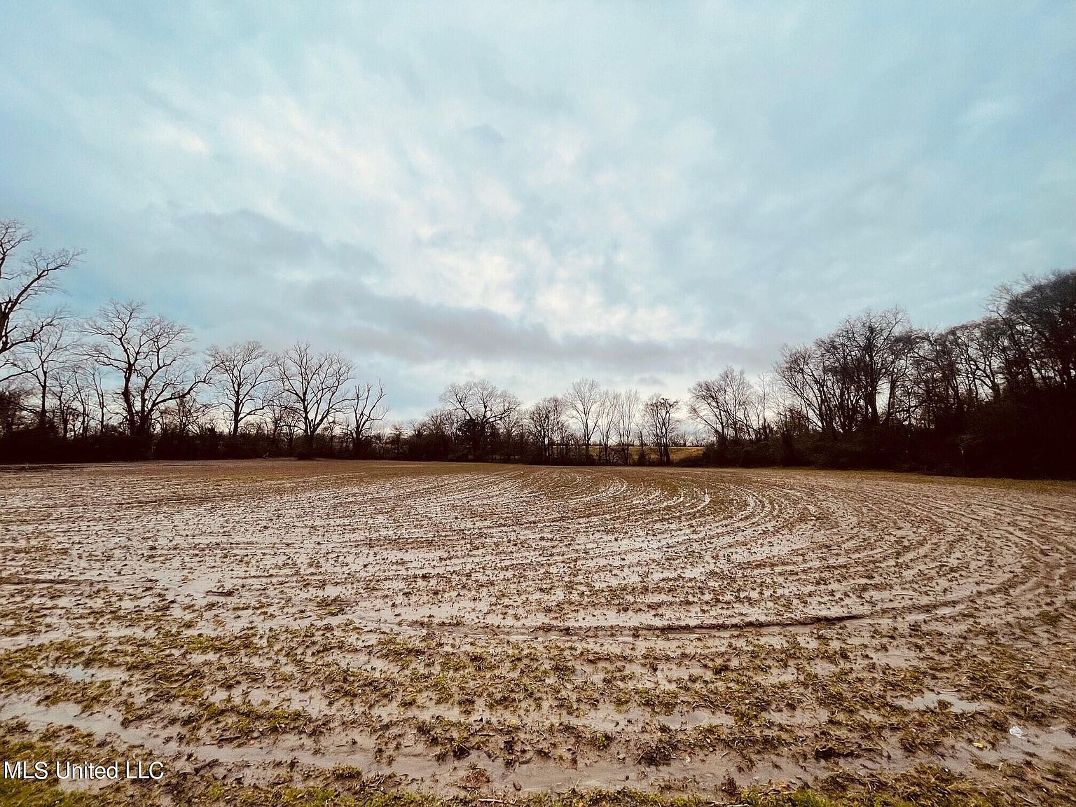 0 Carter Rd, Mayersville, MS 39113 MLS 4069885 Zillow