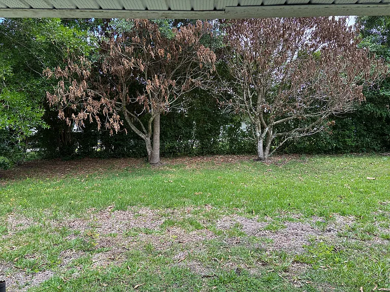 217 Gladiola Rd NE — Photo 8