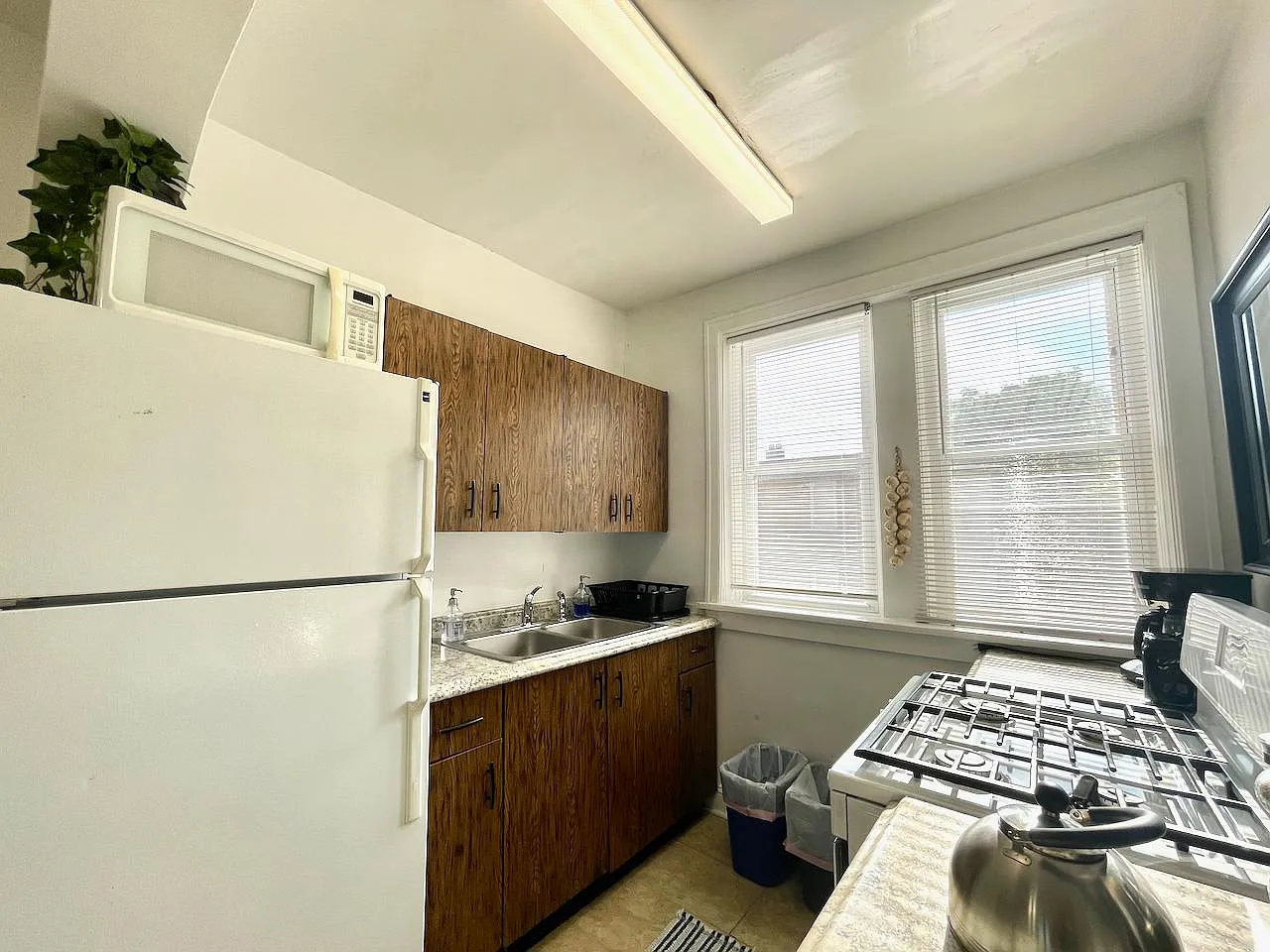 1 bed, 650 sqft, $950 — Photo 3