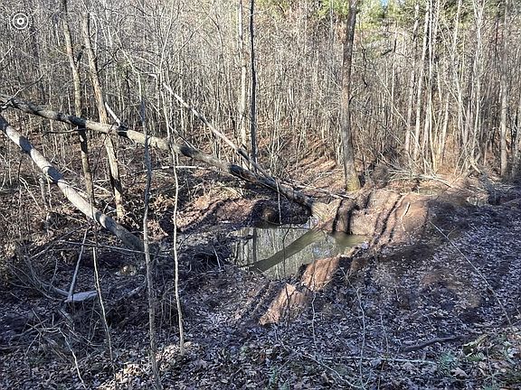3rd image of 0 County Road 956