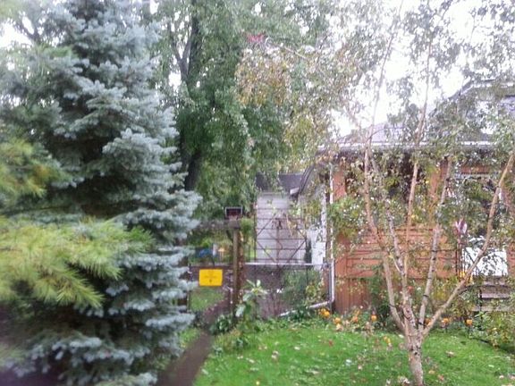 5th image of 1401 Laurel St