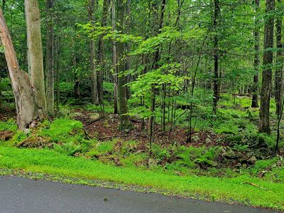 LOT 461 W Creek View Dr, Gouldsboro, PA, 18424