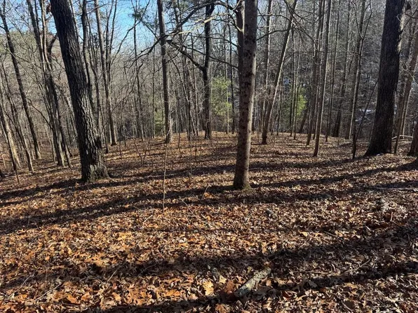 543 Parable Ct #543, Ranger, GA 30734