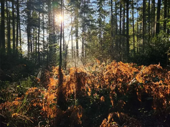 91 E Tepee Lane, Belfair, WA 98528