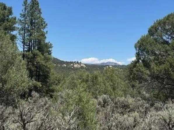 7 Five, Tierra Amarilla, NM 87575