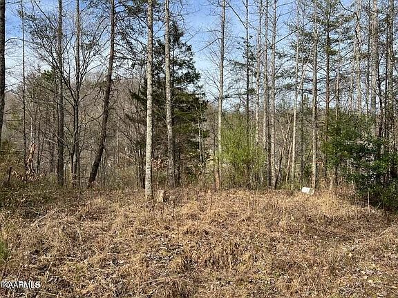 2nd image of 0 Roses Creek Rd