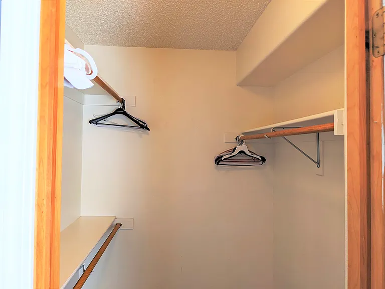 The closet