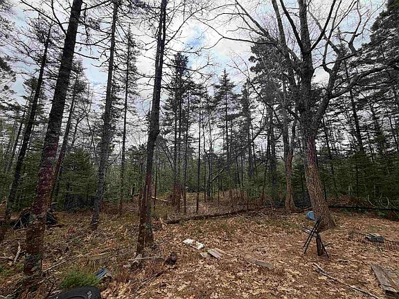 5th image of LOT 5 Upper Clyde Rd