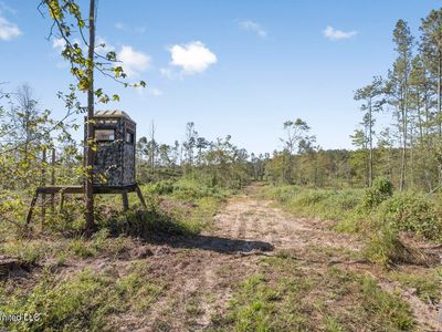 1998 Berwick Cassels Rd, Liberty, MS, 39645