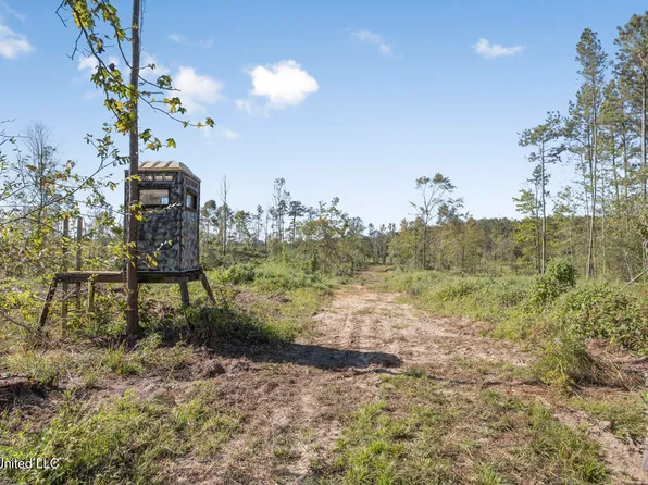 1998 Berwick Cassels Rd, Liberty, MS 39645