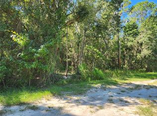 143 Atkins Rd, Georgetown, FL 32139