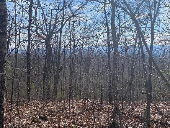 3rd image of Skyline Dr