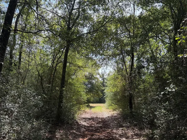 12 Ac Pr #4140, Marquez, TX 77865
