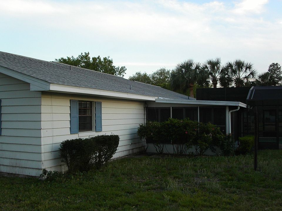 Back View