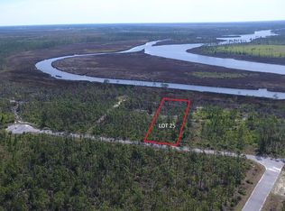 0 E Marsh Line Rd, Wewahitchka, FL 32465