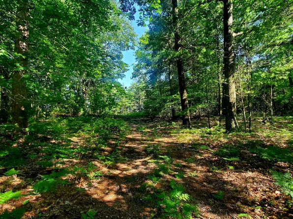 4416 N Pine Ave, Mears, MI 49436