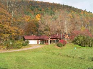 133 Bidwell Rd, West Fulton, NY 12194