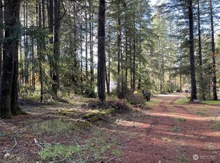 0 E Rasor Rd, Belfair, WA 98528