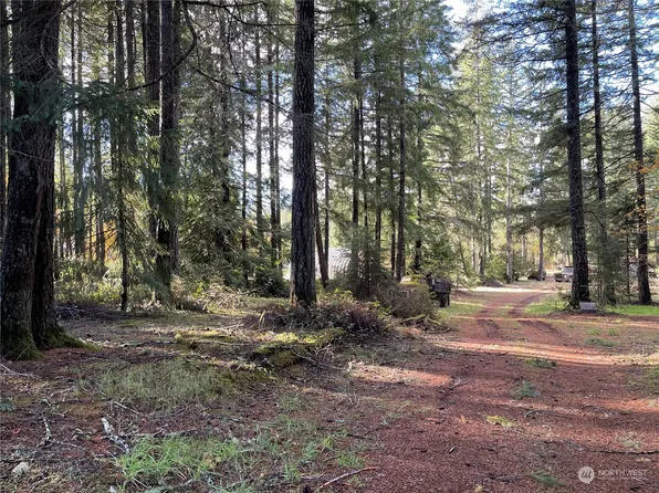 0 E Rasor Road, Belfair, WA 98528