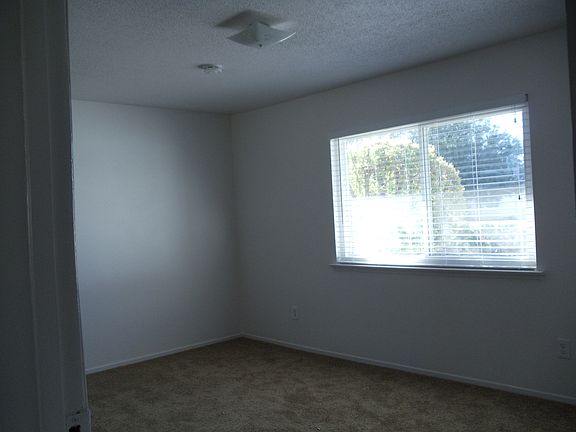 DSC00597 - Copy_11262014