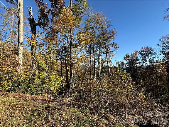 4th image of LOT 6 S Ridgerunner Rd