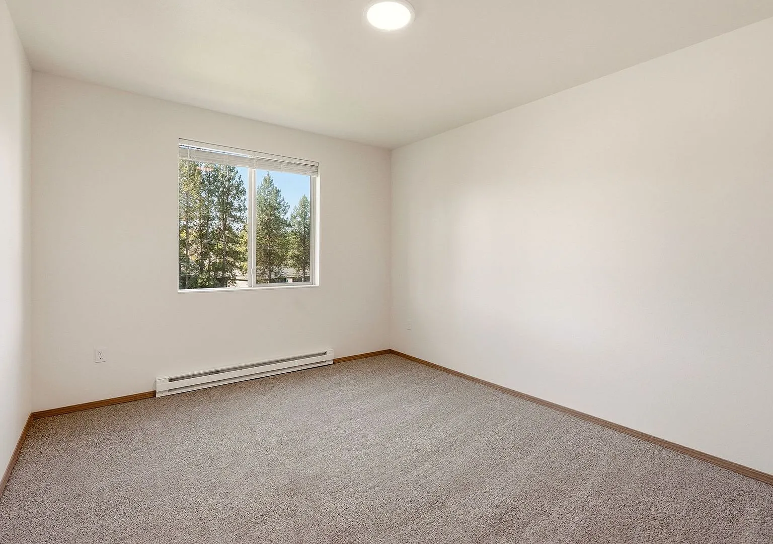 Canter Court — Photo 4