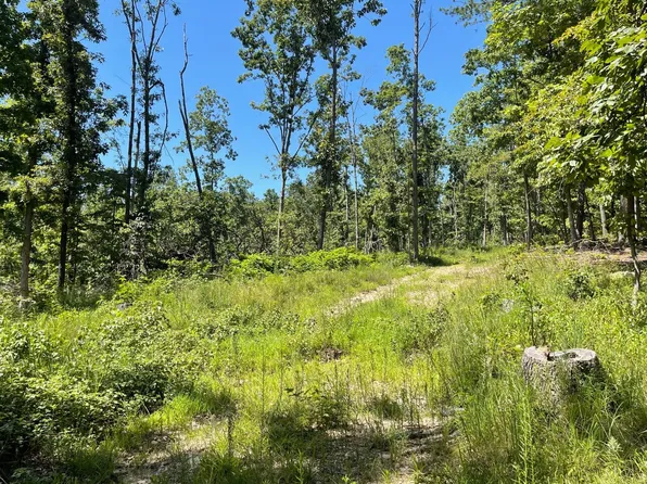 0 County Road 456, Piedmont, MO 63957