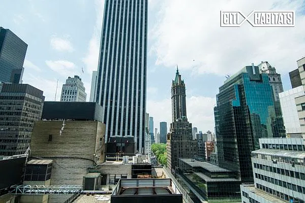 Rented by Citi Habitats | media 18