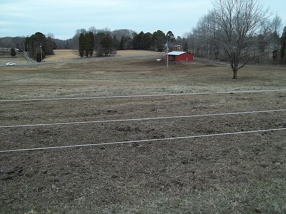 looking over pasture