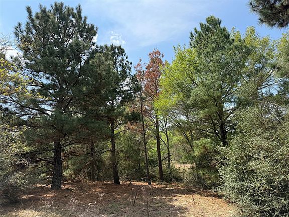 4th image of 118 Edmonson Ranch Rd