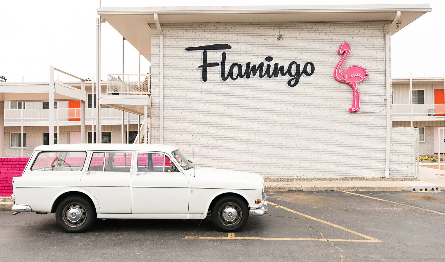 Flamingo — Photo 1