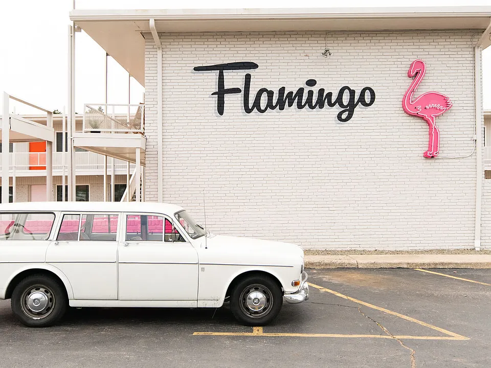 Flamingo