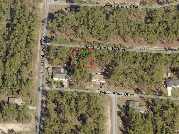 9317 N Fairy Lilly Dr, Citrus Springs, FL 34433
