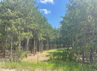 Tbd County 2, Nevis, MN 56467