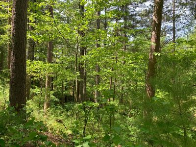 LOT 43 Norway Pine Trl, Tomahawk, WI, 54487